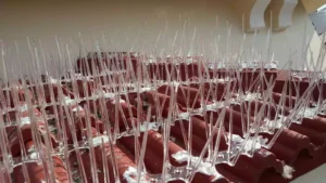anti pigeon spikes for window ledges