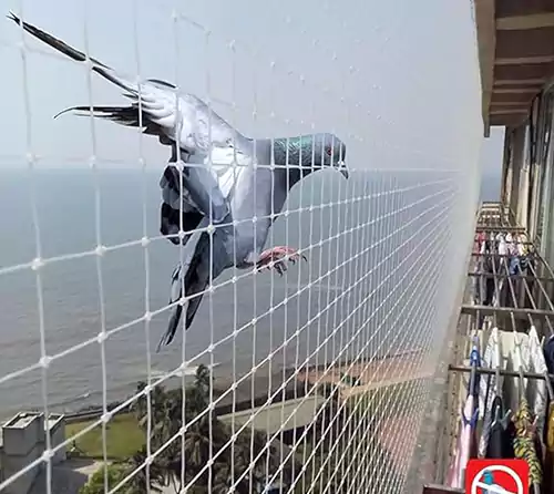 Pigeon safety nets in hyderabad for balcony anti-bird protection