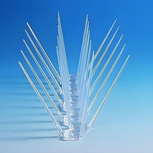 Bird Control Spikes Installation in Hyderabad