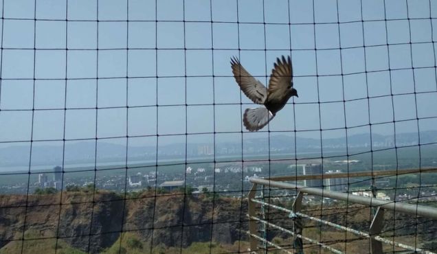 Safety nets for balcony complete guide AP Telangana