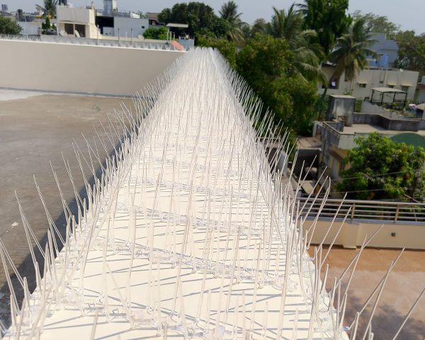 bird spikes installation to prevent pigeons on balcony